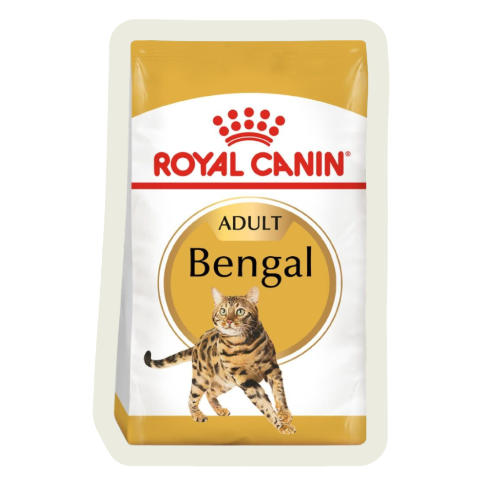 Karma dla kota bengalskiego