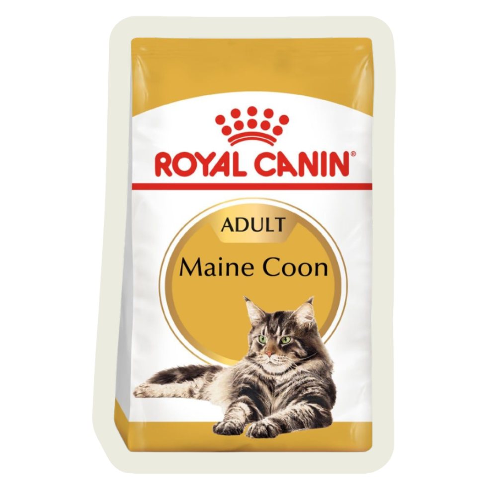 Karma dla kota maine coon