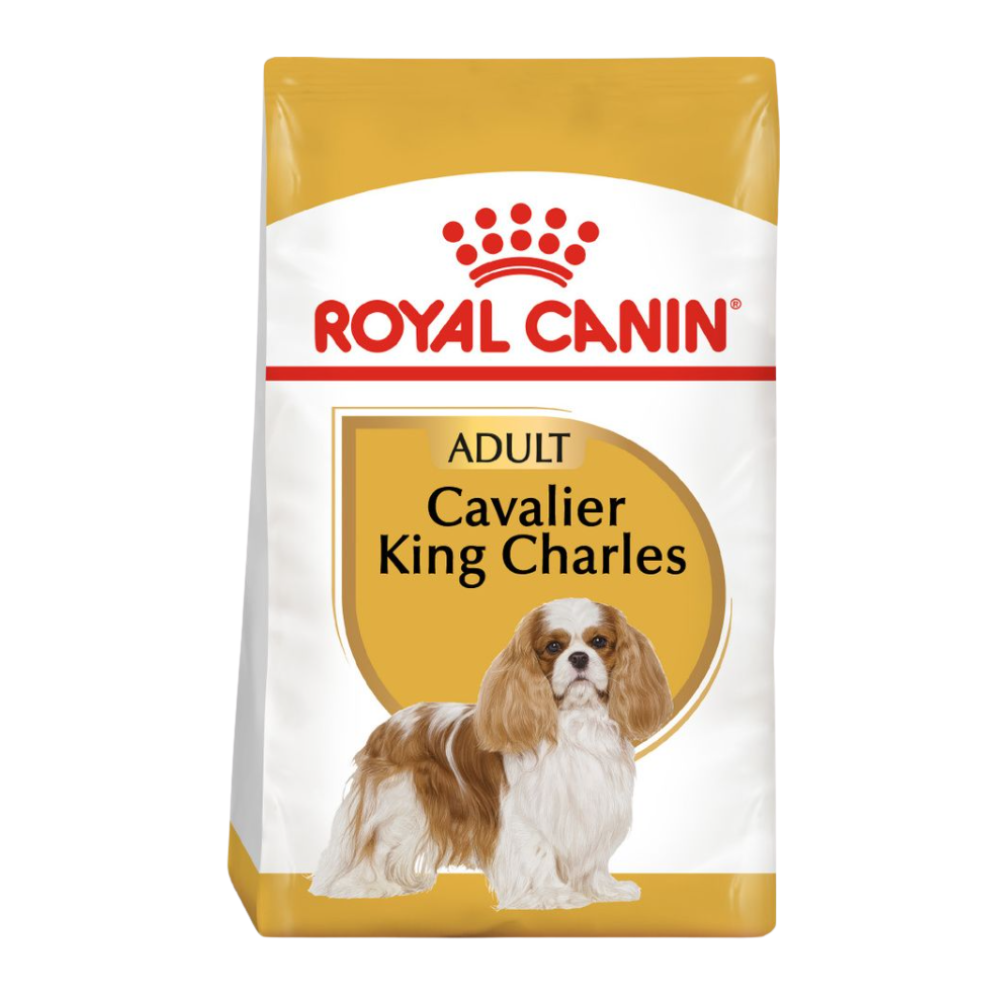 Karma dla Cavalier king charles