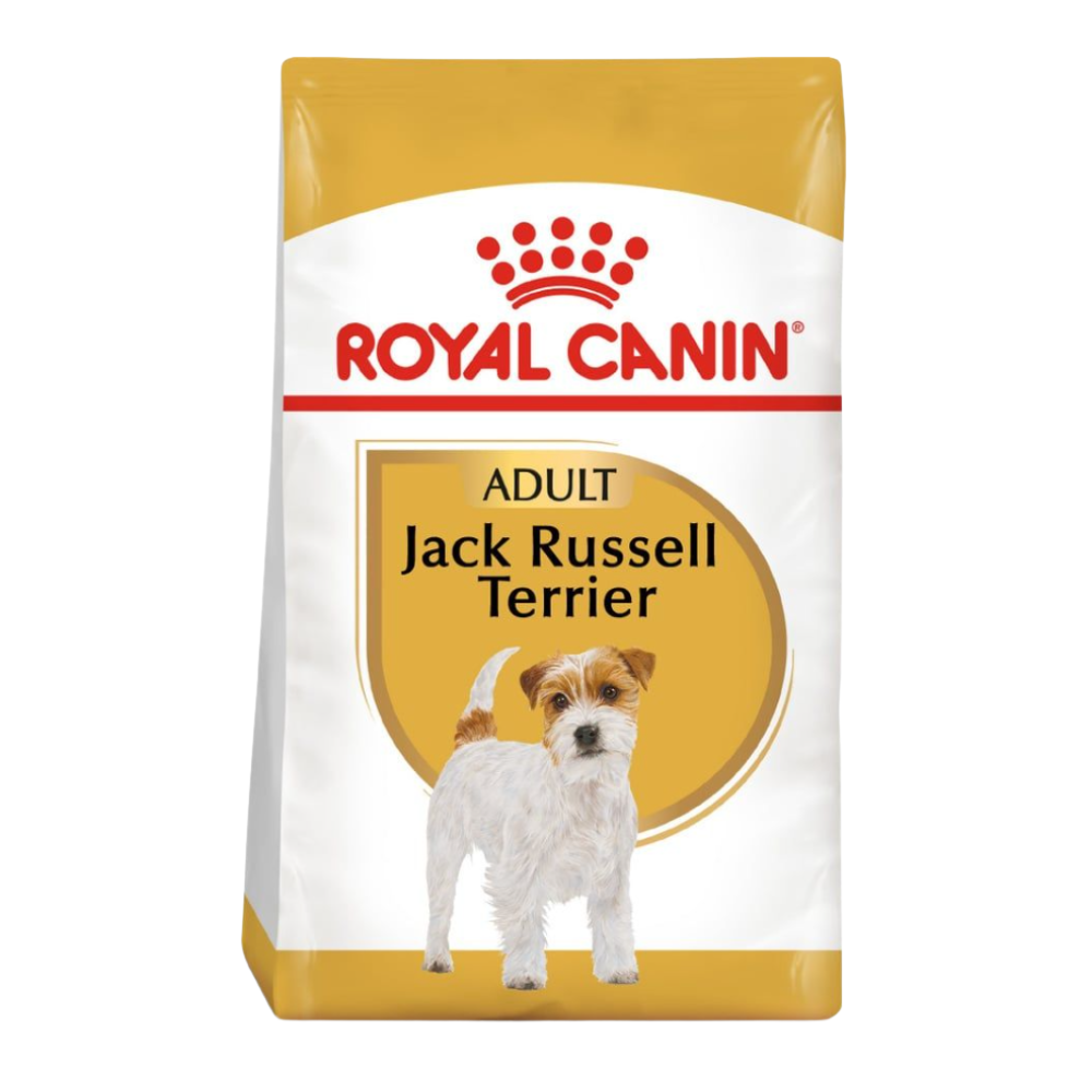Karma dla Jack russell terrier