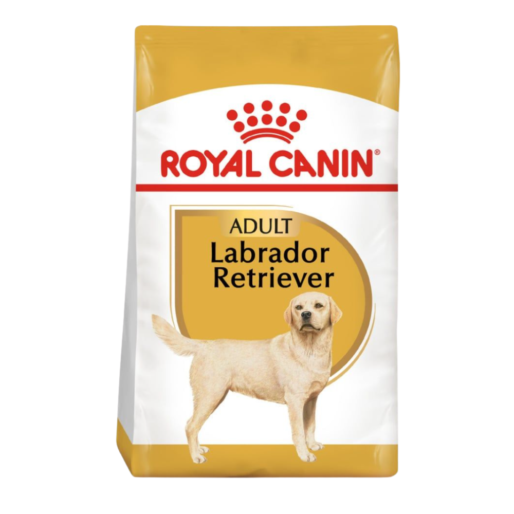 Karma dla Labrador retriever