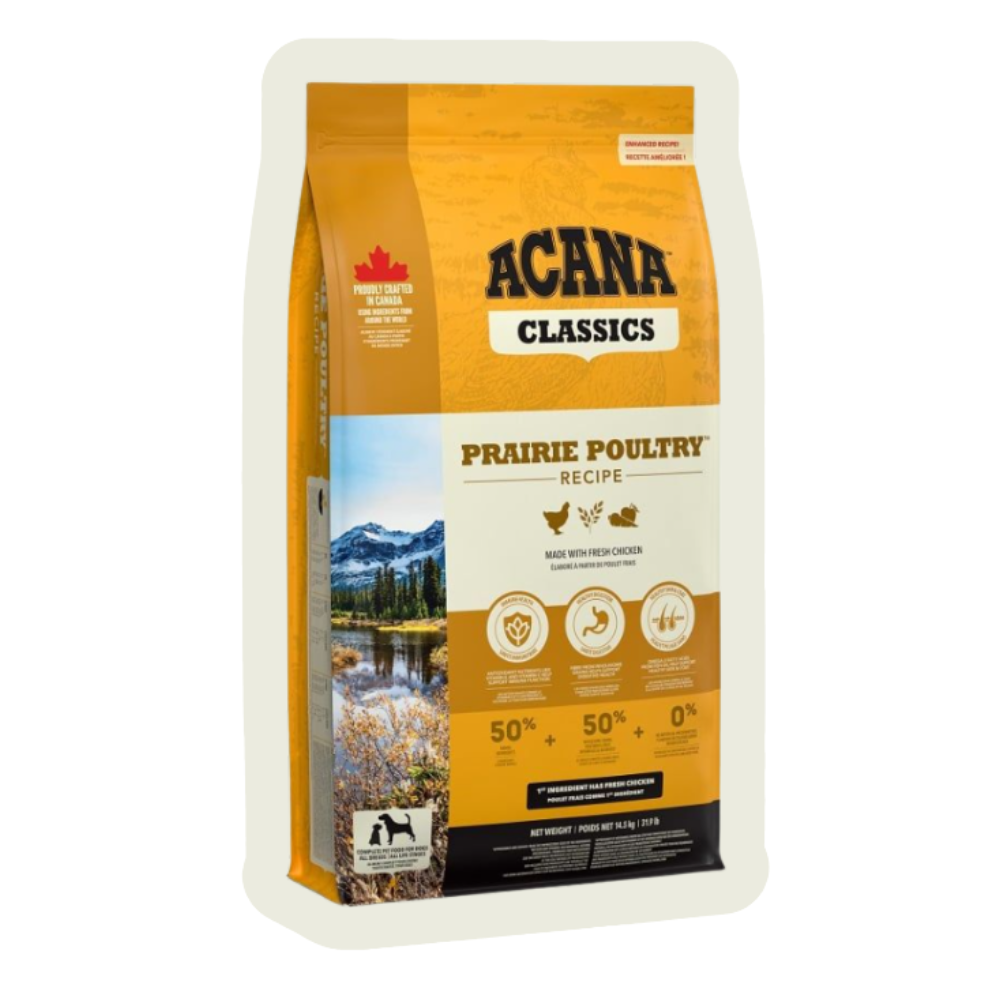 Karma dla psa seniora