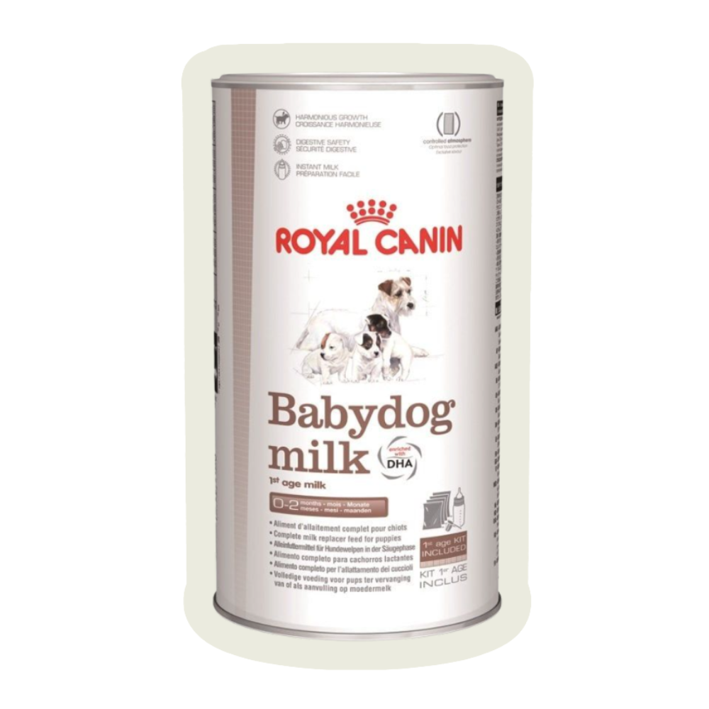 Mleko zastępcze dla psa