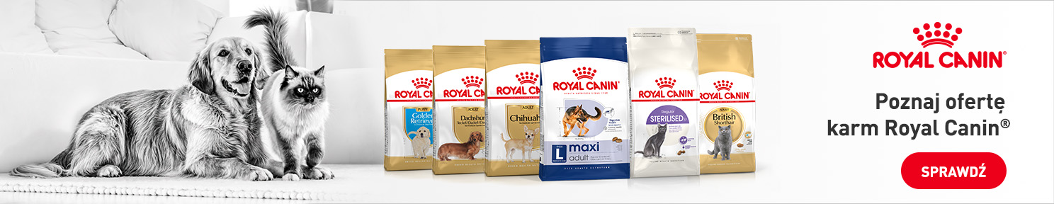 ROYAL CANIN poznaj ofertę karm