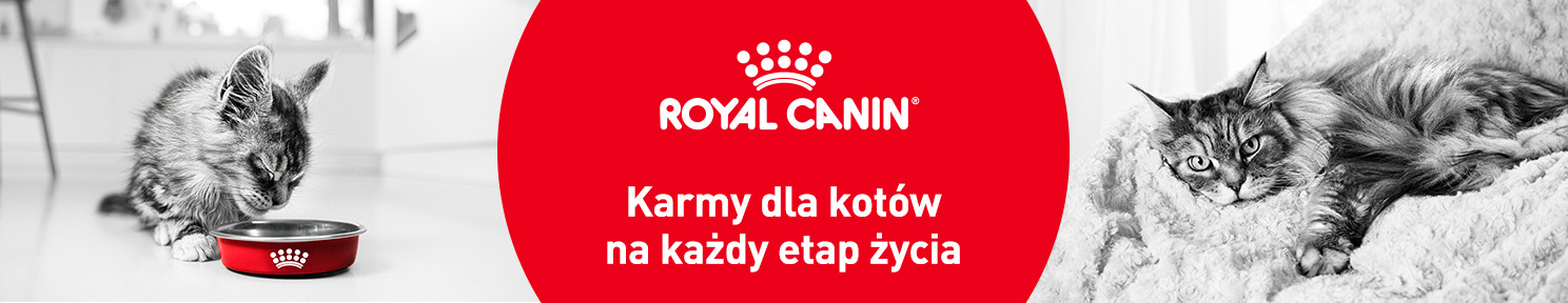 Karma dla kota dorosłego Karma dla kota dorosłego