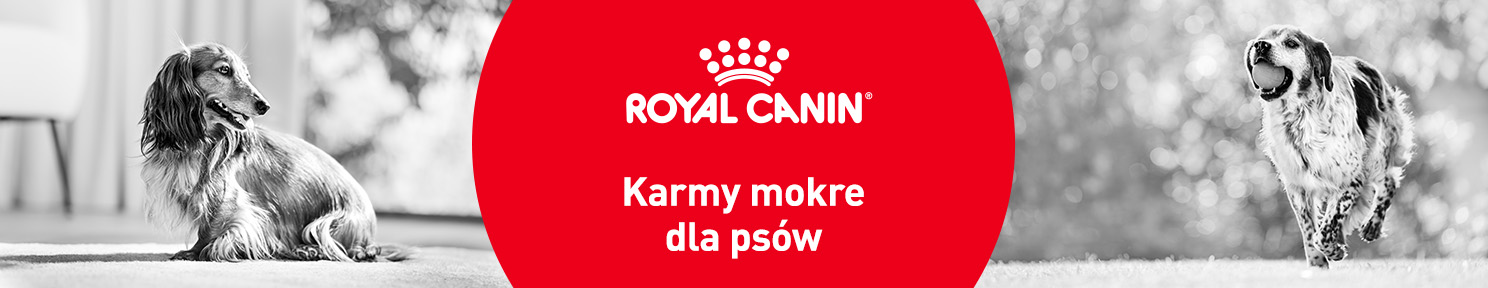 Karma mokra dla psa