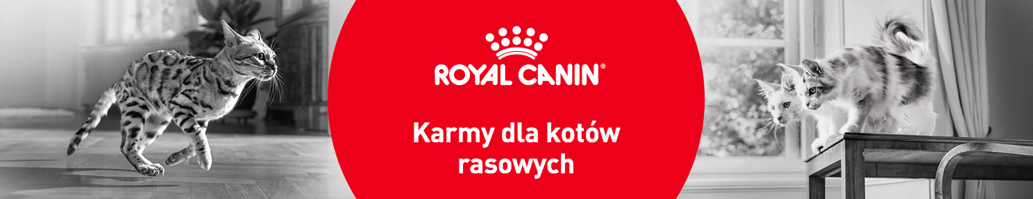 Karma dla kotów rasowych