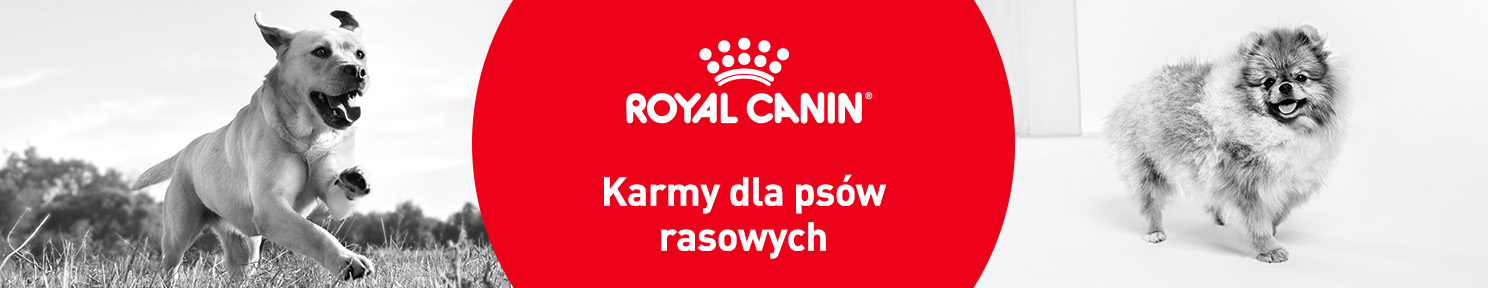 Karma dla psów rasowych
