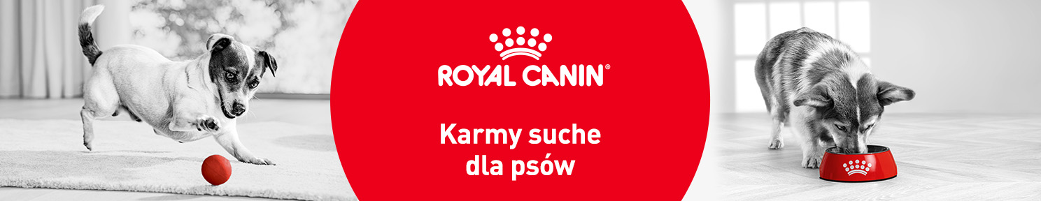 Karma sucha dla psa