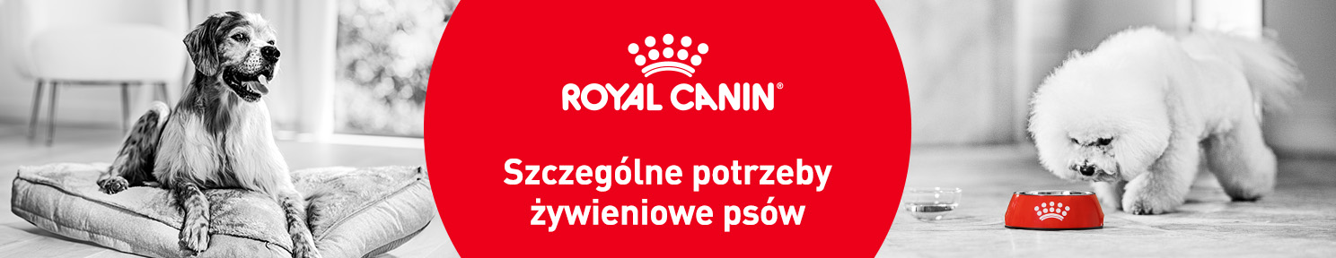 Karma dla psa