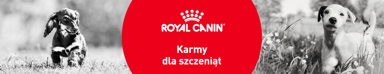 Karma dla szczeniaka