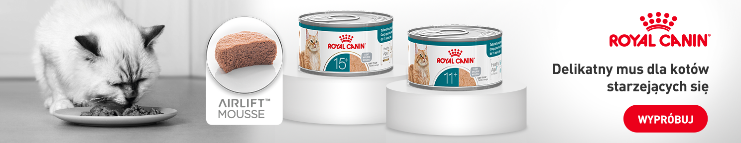 ROYAL CANIN delikatny mus dla kotów starzejących się