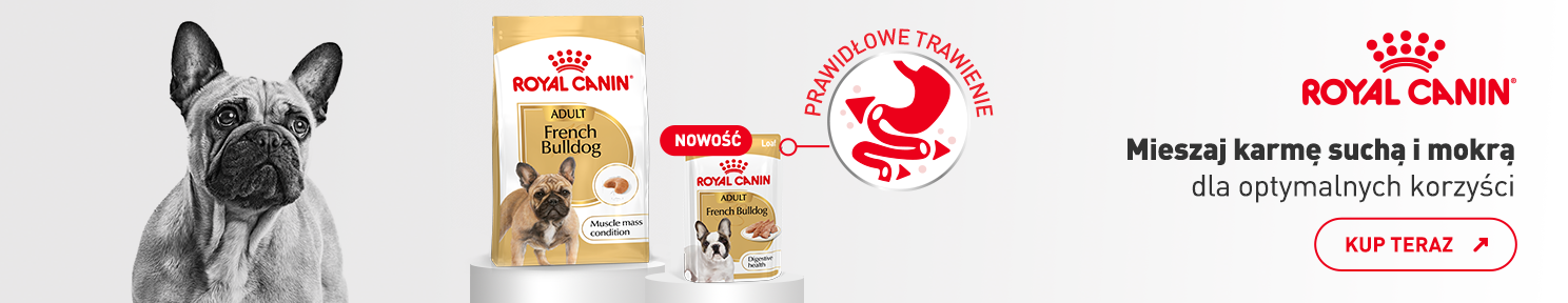 Nowość ROYAL CANIN karma dla buldoga francuskiego