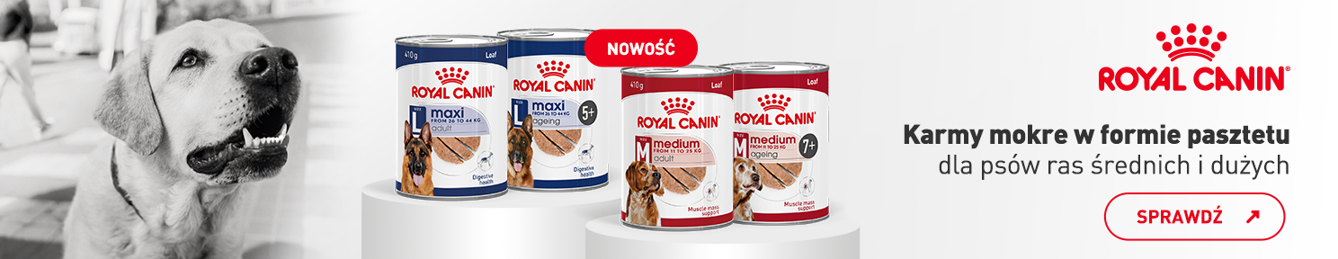 Nowość ROYAL CANIN karmy mokre w formie pasztetu dla psa
