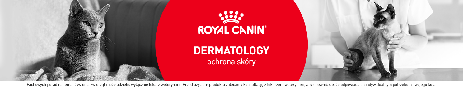Karma hipoalergiczna dla kota