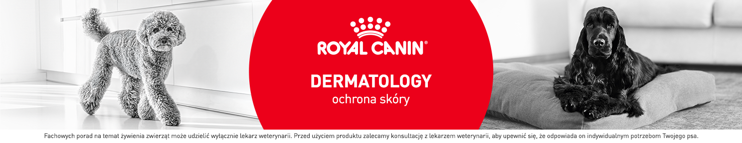 Karma hipoalergiczna dla psa