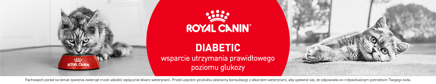 Karma dla kota z cukrzycą