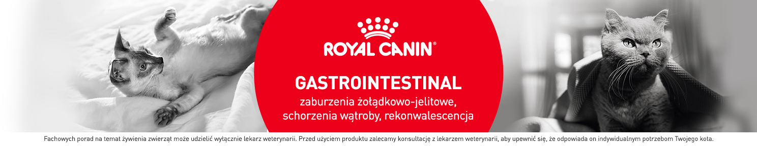 Karma dla kota na rekonwalescencję