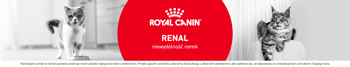 Karma renal dla kota