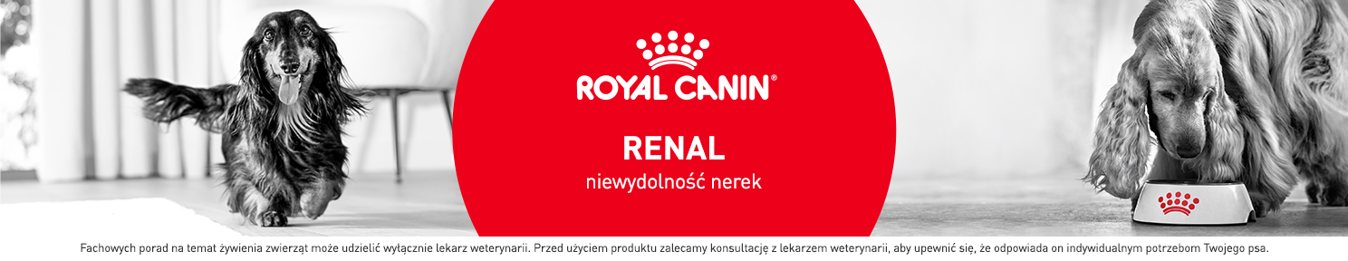 Karma renal dla psa