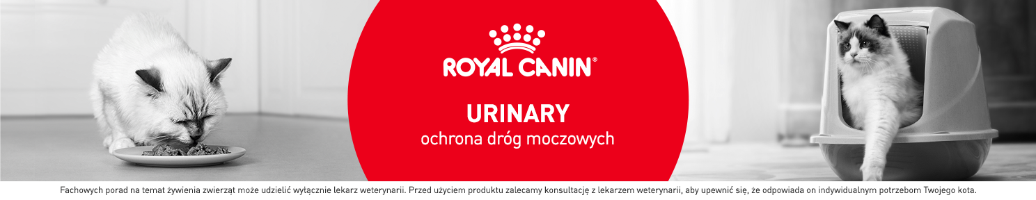 Karma urinary dla kota