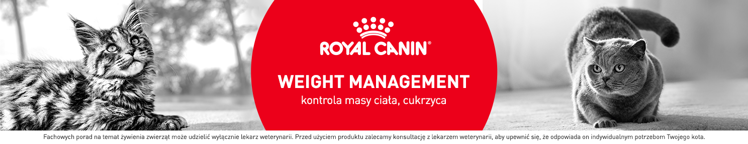 Karma odchudzająca dla kota