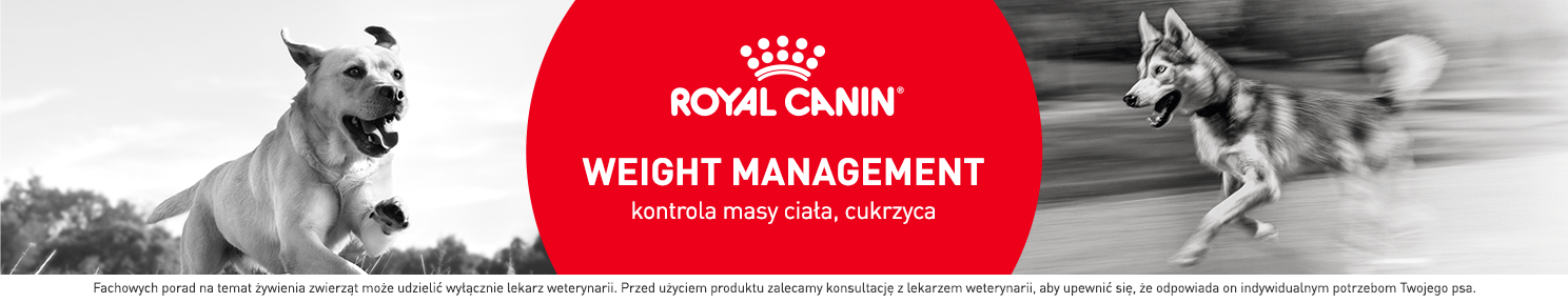 Karma dietetyczna dla psa