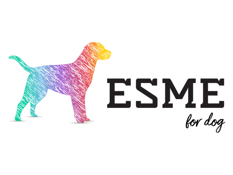 Esme for Dog