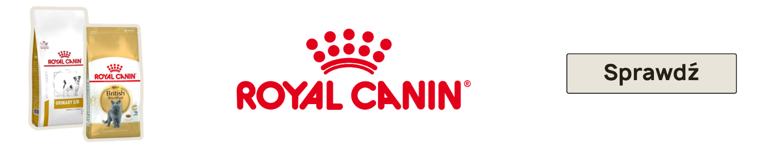 Karma dla dorosłego psa