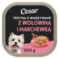 CESAR Teryna z Warzywami 300 g z mokra karma dla psa z cielęciną i marchewką