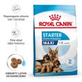 ROYAL CANIN Maxi Starter Mother&Babydog 15 kg karma sucha dla suk w ciąży i okresie laktacji oraz szczeniąt, od 4 do 8 tygodnia życia, ras dużych