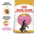 ROYAL CANIN Maine Coon Kitten karma sucha dla kociąt, do 15 miesiąca, rasy maine coon 10 kg