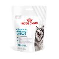 ROYAL CANIN Joint Ageing Adult Dog Supplements 240g suplement na prawidłowe funkcjonowanie stawów dla dorosłych psów