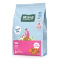 GREEN PETFOOD InsectDog Mini 3kg bezzbożowa karma z białkiem owadów dla małych psów