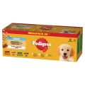 PEDIGREE Junior Wybór Smaków z ryżem saszetki 40x100 g mokra karma pełnoporcjowa dla szczeniąt kawałki z mieszanką wołowiny i wątróbki i ryżem, z kurczakiem i ryżem, z mieszanką jagnięciny i wątróbki i ryżem, z drobiem i ryżem w galaretce