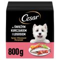 CESAR Adult z kurczakiem i łososiem 800g sucha karma dla psa