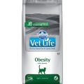 FARMINA Vet Life Cat Obesity 10 kg karma dla kotów z nadwagą