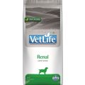 FARMINA Vet Life Renal Dog 12 kg karma dla psa z chorobami nerek