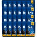 BRIT Premium Cat Adult łosoś i pstrąg saszetka dla kota 24 x 100g
