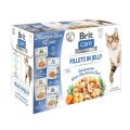 BRIT Care Cat Flavour Box in Jelly 12x85g mix smaków w galaretce