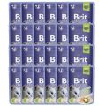 BRIT Premium Cat  Fillets in Jelly mokra karma z pstrągiem dla kotów 24x85 g