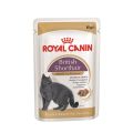 ROYAL CANIN British Shorthair karma mokra w sosie dla kotów dorosłych rasy brytyjski krótkowłosy 12x85 g
