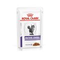 ROYAL CANIN Cat Mature Consult 12x85g karma mokra dla starszych kotów w wieku powyżej 7 lat