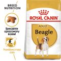 ROYAL CANIN Beagle Adult 12 kg karma sucha dla psów dorosłych rasy beagle
