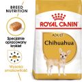 ROYAL CANIN Chihuahua Adult karma sucha dla psów dorosłych rasy chihuahua 500 g