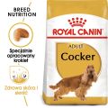 ROYAL CANIN Cocker adult 12 kg sucha karma dla dorosłych psów rasy cocker spaniel