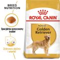 ROYAL CANIN Golden retriever adult 12 kg karma sucha dla psów dorosłych rasy golden retriever