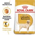 ROYAL CANIN Labrador retriever adult 12 kg karma sucha dla psów dorosłych do 5. roku życia, rasy labrador retriever