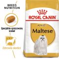 ROYAL CANIN Maltese adult 1.5 kg karma sucha dla psów dorosłych rasy maltańczyk