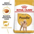 ROYAL CANIN Poodle Adult 1,5 kg karma sucha dla psów dorosłych rasy pudel miniaturowy